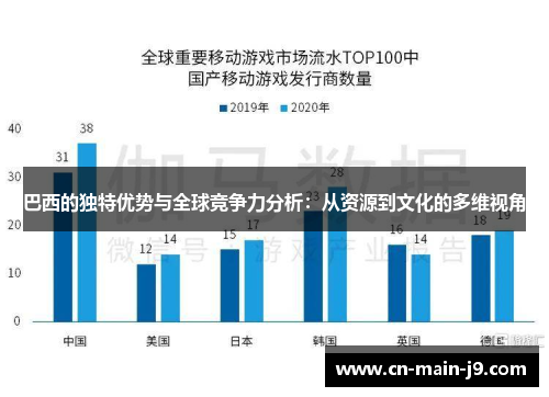 巴西的独特优势与全球竞争力分析：从资源到文化的多维视角