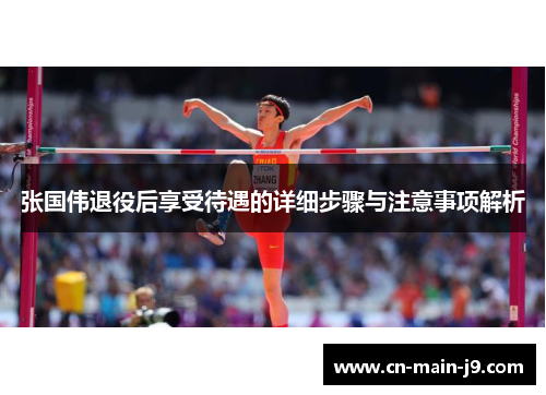 张国伟退役后享受待遇的详细步骤与注意事项解析