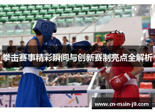 拳击赛事精彩瞬间与创新赛制亮点全解析